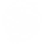 MSP4BIO White logo